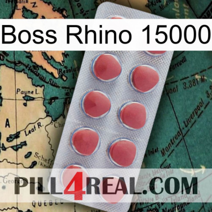 Boss Rhino 15000 18